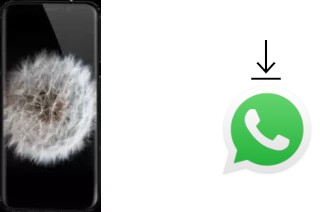 Como baixar e instalar o WhatsApp em Meiigoo Note 8