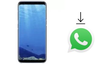 Como baixar e instalar o WhatsApp em Mione Mix 9 Pro