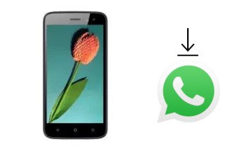 Como baixar e instalar o WhatsApp em Mobiola Wave 5