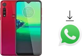 Como baixar e instalar o WhatsApp em Motorola Moto G8 Play