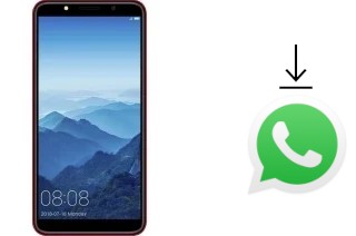 Como baixar e instalar o WhatsApp em Movic F6003