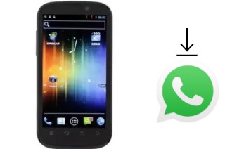 Como baixar e instalar o WhatsApp em Newman N1