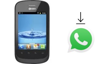 Como baixar e instalar o WhatsApp em NGM Action