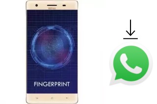 Como baixar e instalar o WhatsApp em Nipda Tsunami-F9