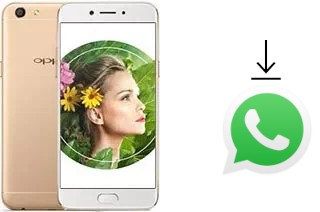 Como baixar e instalar o WhatsApp em Oppo A77