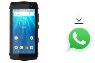 Como baixar e instalar o WhatsApp em Qilive Q10 Rugged