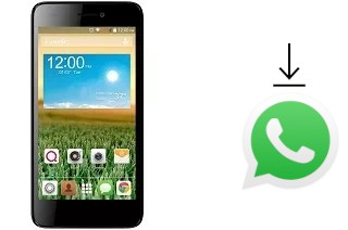 Como baixar e instalar o WhatsApp em QMobile Noir X800