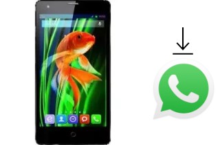 Como baixar e instalar o WhatsApp em QSmart MB5011