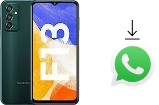 Como baixar e instalar o WhatsApp em Samsung Galaxy F13