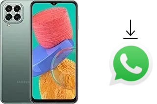 Como baixar e instalar o WhatsApp em Samsung Galaxy M33