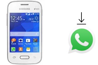 Como baixar e instalar o WhatsApp em Samsung Galaxy Pocket 2