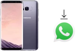 Como baixar e instalar o WhatsApp em Samsung Galaxy S8+ Exynos