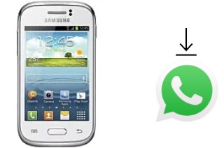 Como baixar e instalar o WhatsApp em Samsung Galaxy Young S6310