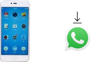 Como baixar e instalar o WhatsApp em Smartisan M1