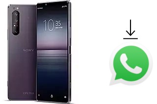 Como baixar e instalar o WhatsApp em Sony Xperia 1 II