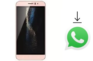 Como baixar e instalar o WhatsApp em SSKY Y444