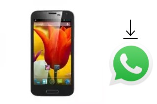 Como baixar e instalar o WhatsApp em Star W500