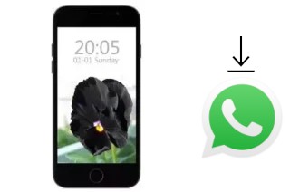 Como baixar e instalar o WhatsApp em SYH Young Y38