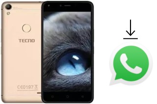 Como baixar e instalar o WhatsApp em Tecno WX4