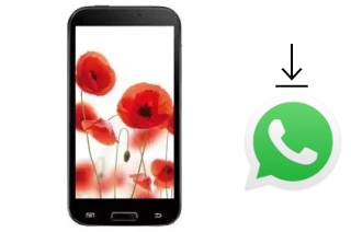 Como baixar e instalar o WhatsApp em TELEFUNKEN TF-SP5302