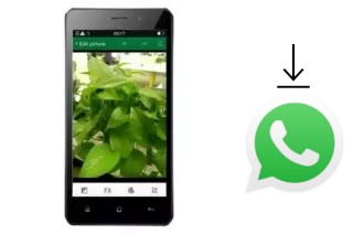 Como baixar e instalar o WhatsApp em True Smart 4G HD Voice