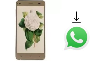 Como baixar e instalar o WhatsApp em VC Camellia II