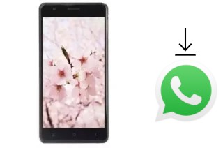 Como baixar e instalar o WhatsApp em VC Cherry