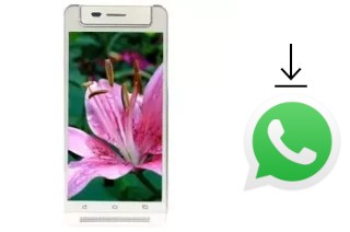 Como baixar e instalar o WhatsApp em VC Lily