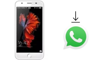 Como baixar e instalar o WhatsApp em VG V666 3G