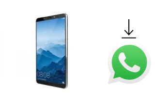 Como baixar e instalar o WhatsApp em VINOVO K10