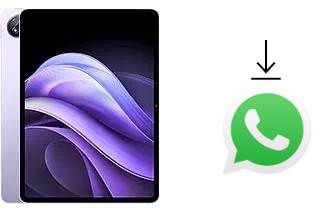 Como baixar e instalar o WhatsApp em vivo Pad3