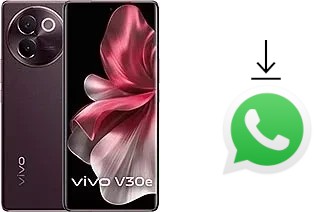 Como baixar e instalar o WhatsApp em vivo V30e