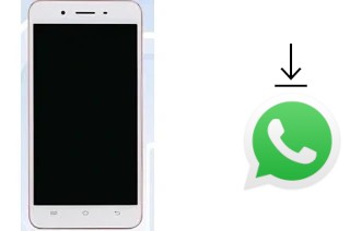 Como baixar e instalar o WhatsApp em vivo Y55A