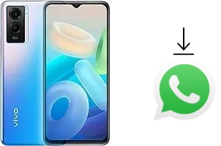 Como baixar e instalar o WhatsApp em vivo Y55s 5G