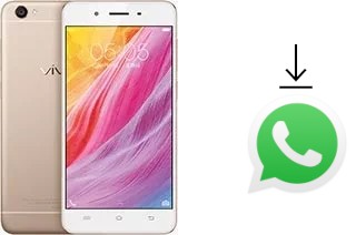 Como baixar e instalar o WhatsApp em vivo Y55s