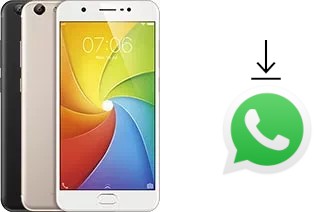 Como baixar e instalar o WhatsApp em vivo Y69