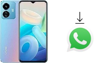 Como baixar e instalar o WhatsApp em vivo Y77