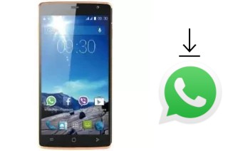 Como baixar e instalar o WhatsApp em Viwa X55