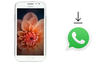 Como baixar e instalar o WhatsApp em Wham WS53