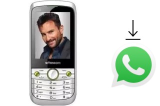 Como baixar e instalar o WhatsApp em Wynncom W405