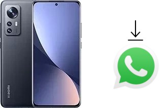 Como baixar e instalar o WhatsApp em Xiaomi 12X