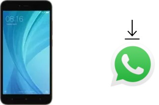 Como baixar e instalar o WhatsApp em Xiaomi Redmi Y1