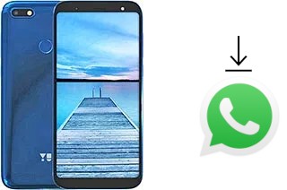 Como baixar e instalar o WhatsApp em YU Ace