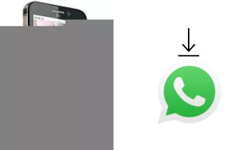 Como baixar e instalar o WhatsApp em ZTE Skate Acqua