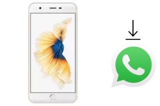 Como baixar e instalar o WhatsApp em ZYQ Q-ME Phone 7 3G